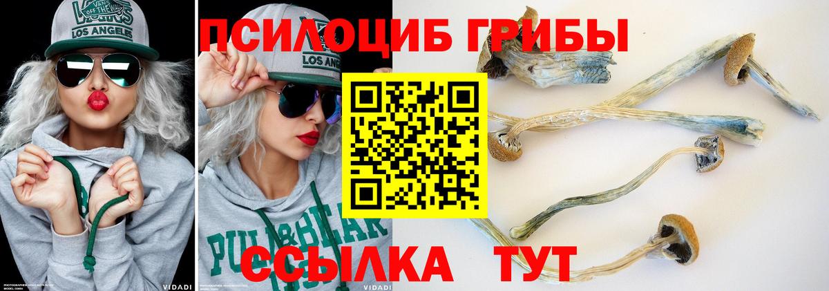 Псилоцибиновые грибы мицелий Киржач