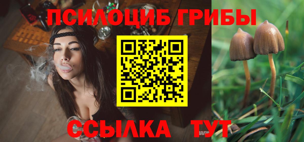 Киржач  Псилоцибиновые грибы прущие грибы  Вход с VPN 